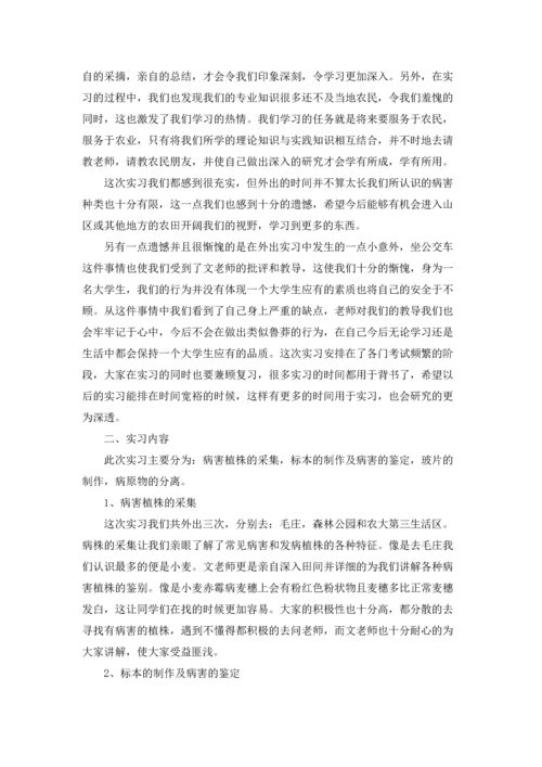 植物学实习报告范文8篇.docx