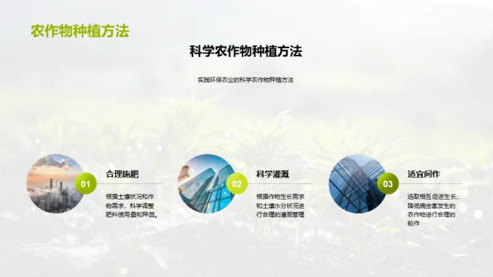 实践谷雨环保农业