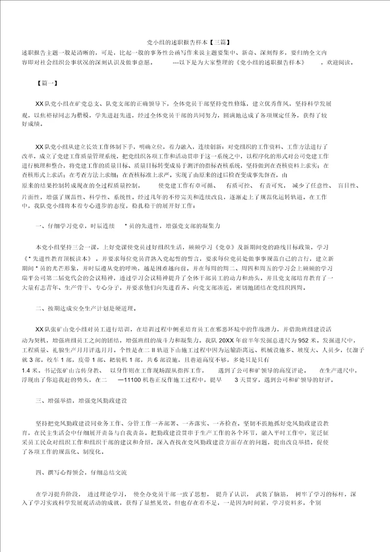 2019年最新版党小组的述职报告模板范文精选合辑