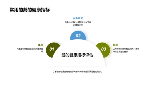 构筑鹅舍的理想环境