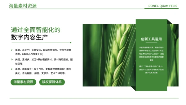绿色简约风现代农业发展PPT