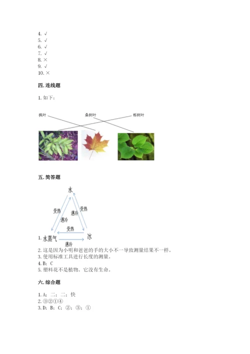 教科版一年级上册科学期末测试卷（考点梳理）.docx