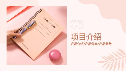 简约欧美风粉色工作汇报计划书PPT