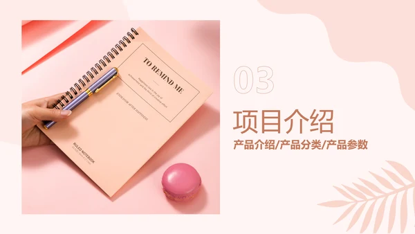简约欧美风粉色工作汇报计划书PPT