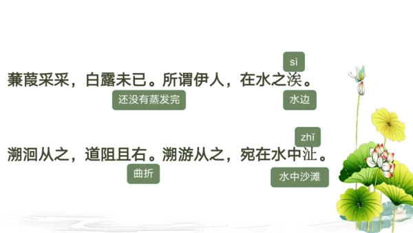 12《诗经》二首 蒹葭 课件
