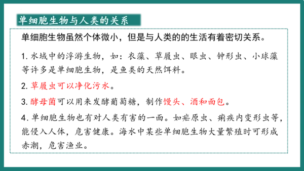 第一单元第三章从细胞到生物体（复习课件）-七年级生物上册同步教学精制课件（人教版2024）(共44张