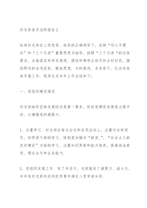 村支部委员述职报告.docx