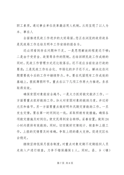 市民政局总结及来年规划.docx