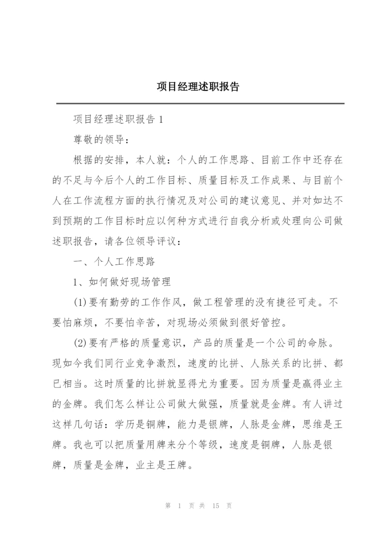 项目经理述职报告.docx