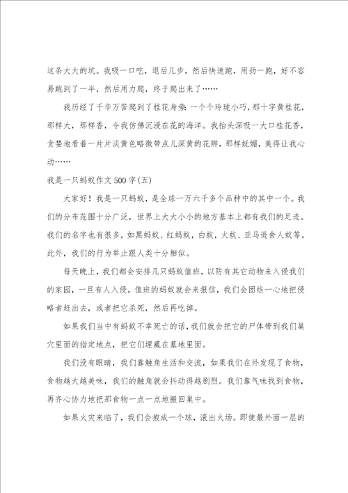 我是一只蚂蚁作文500字