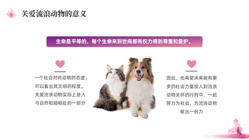 紫红色水彩简约关爱流浪动物宣传教育PPT课件