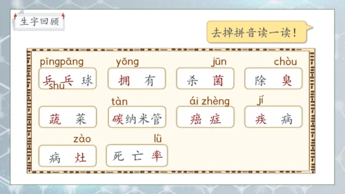 【核心素养】部编版语文四年级下册-7.纳米技术就在我们身边 第2课时（课件）