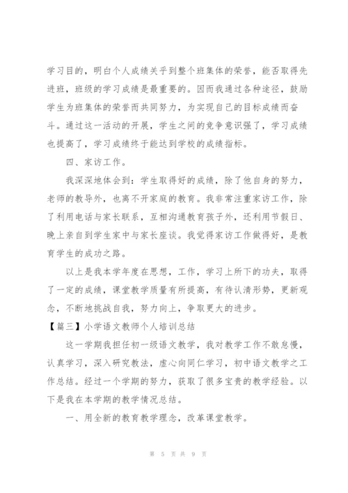 小学语文教师个人培训总结.docx