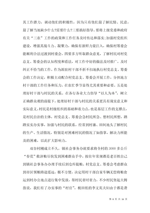 村文书年终工作总结.docx