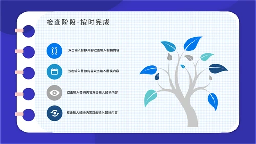 PACA项目实施报告通用PPT模板