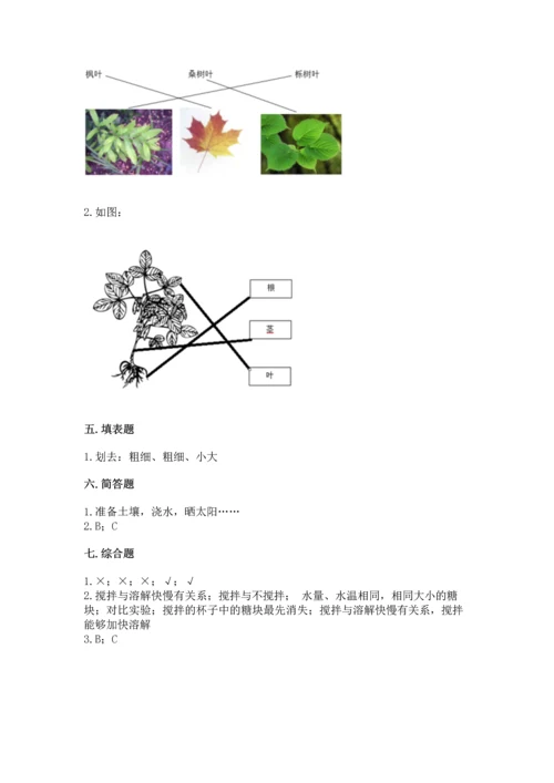 教科版科学一年级上册第一单元《植物》测试卷及参考答案【综合题】.docx