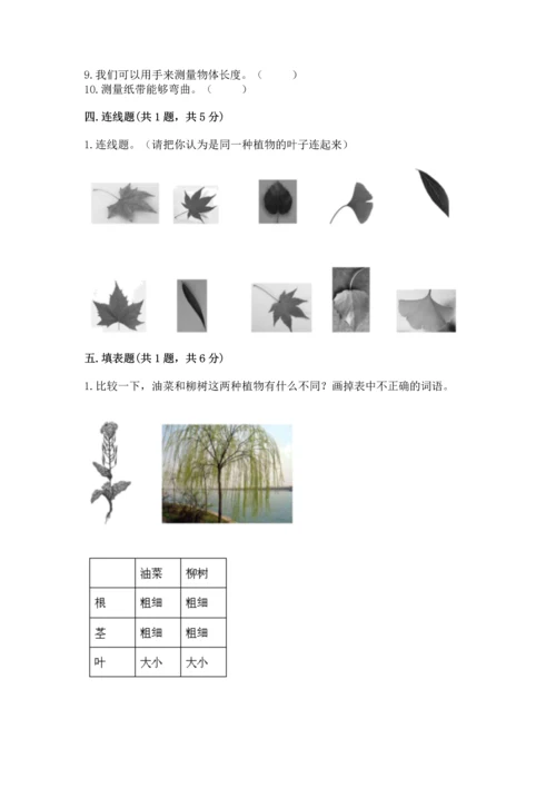 教科版一年级上册科学期末测试卷附参考答案【模拟题】.docx