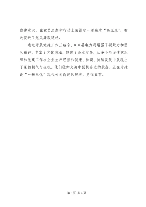 电力局加强党建促发展经验材料.docx