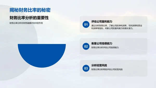 月度财务风险报告PPT模板