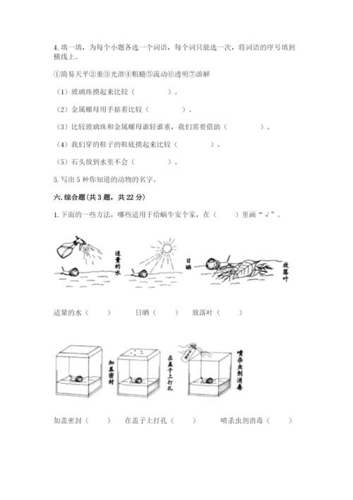 教科版一年级下册科学期末测试卷【基础题】.docx