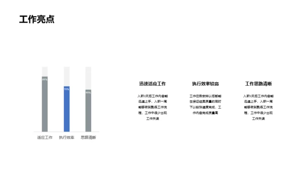 白色商务工作总结PPT案例