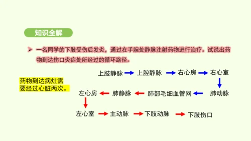 第四单元-第四章-第三节 输送血液的泵——心脏（第2课时）课件-2024-2025学年七年级生物下学