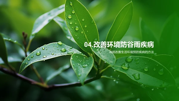 应对谷雨季节