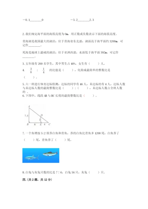 成都外国语学校小升初数学试卷【典优】.docx