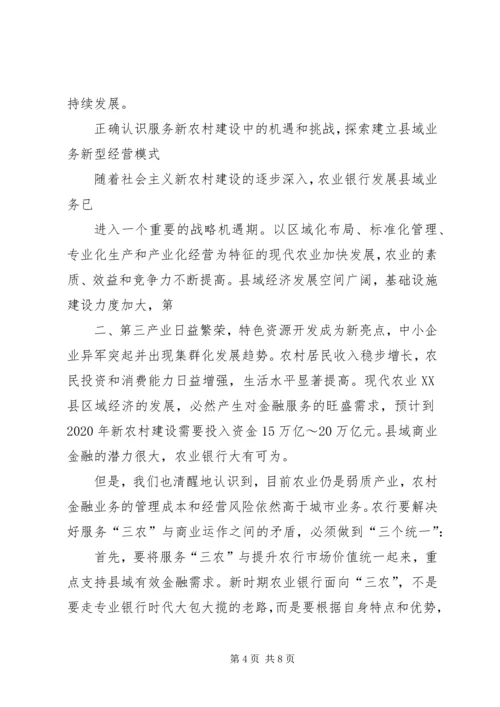 农业银行县域支行做好“三农”金融服务工作的思考_1.docx