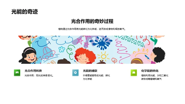 揭秘绿色之源