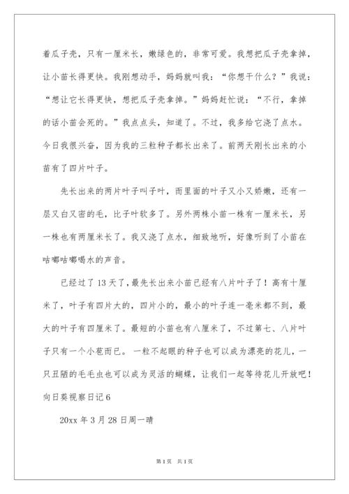 2022向日葵观察日记.docx