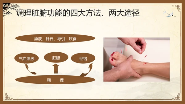 棕色复古中医经络养生PPT模板宣传PPT动态PPT
