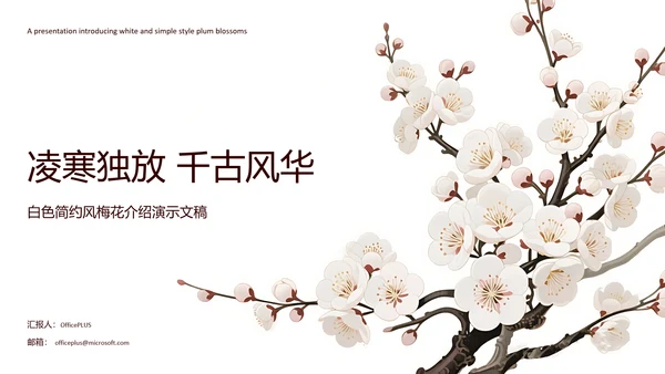白色简约风梅花介绍PPT模板