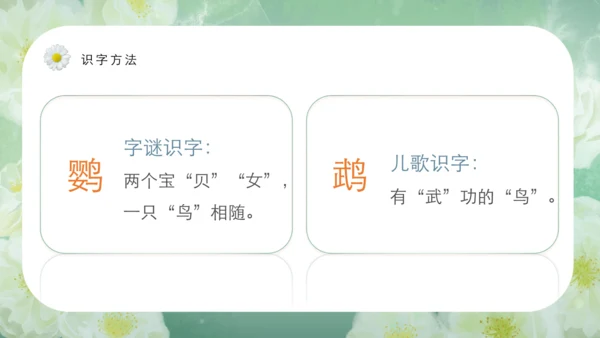 第15课《搭船的鸟》课件