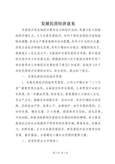 发展民营经济意见.docx