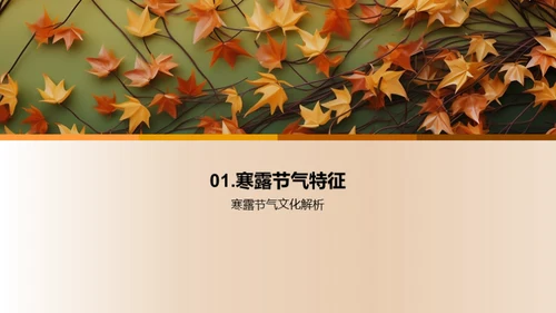 寒露节气营销攻略