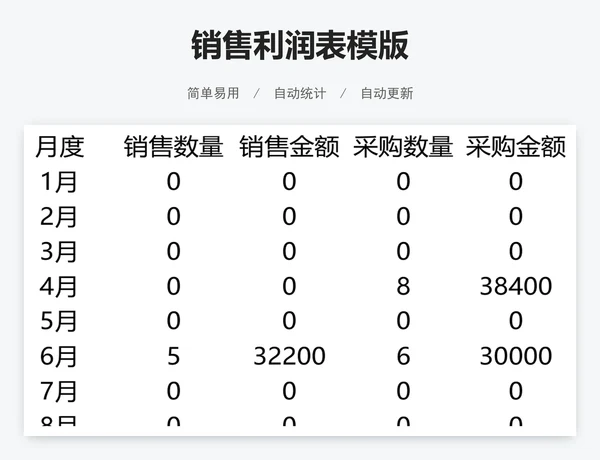 销售利润表模版