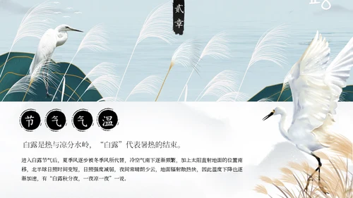 白露白鹤通用PPT模板