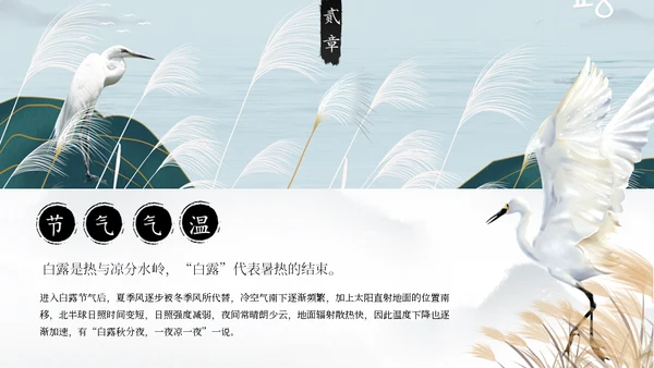 白露白鹤通用PPT模板