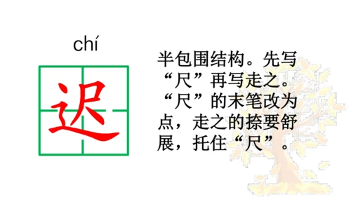 5 铺满金色巴掌的水泥道