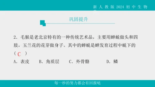 人教版生物七年级上册2.2.1《无脊椎动物》教学课件(共40张PPT)+视频素材
