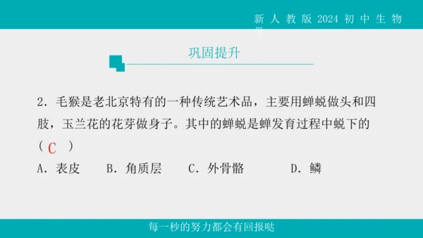 人教版生物七年级上册2.2.1《无脊椎动物》教学课件(共40张PPT)+视频素材
