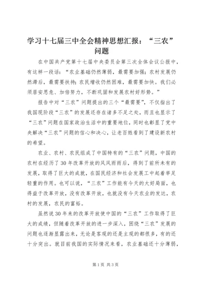 学习十七届三中全会精神思想汇报：“三农”问题 (5).docx