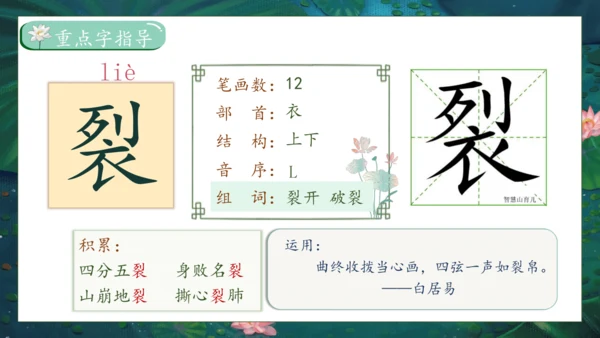 【核心素养】部编版语文三年级下册-3. 荷花 第1课时（课件）