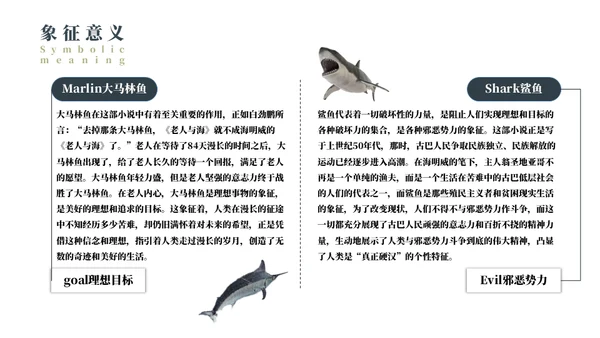 《老人与海》名著导读好书推荐通用PPT模板