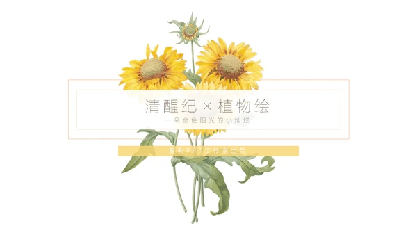 清醒纪植物绘小清新文艺女青年通用PPT模板