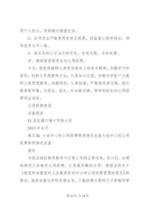 花果中心小学公用经费使用情况自查报告.docx