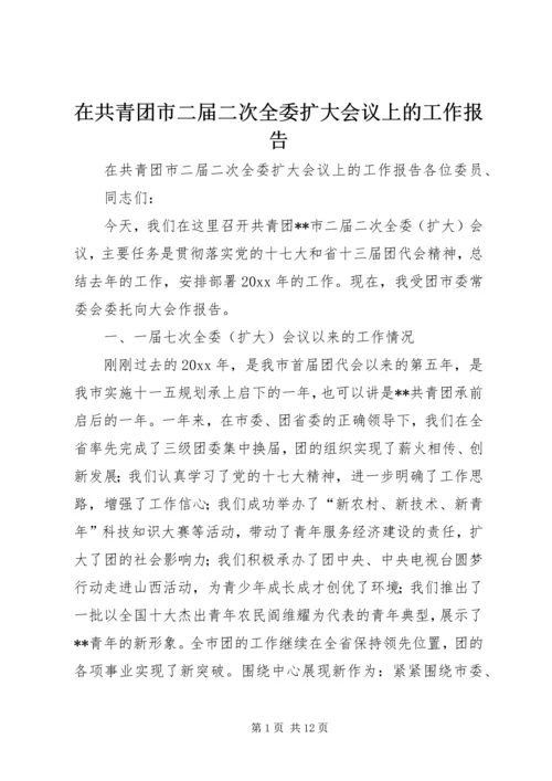 在共青团市二届二次全委扩大会议上的工作报告 (2).docx