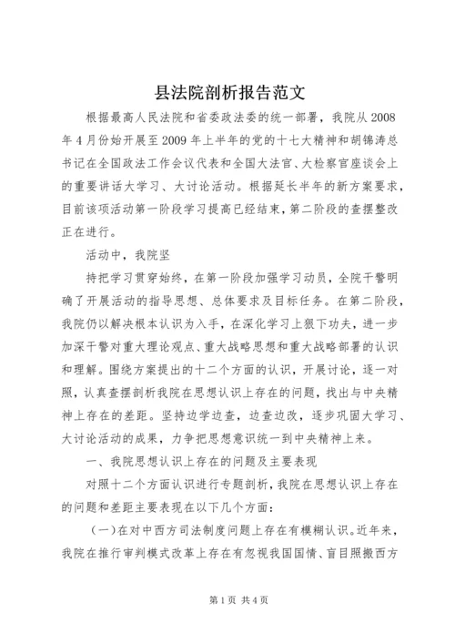 县法院剖析报告范文 (4).docx