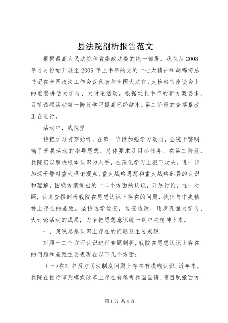 县法院剖析报告范文 (4).docx